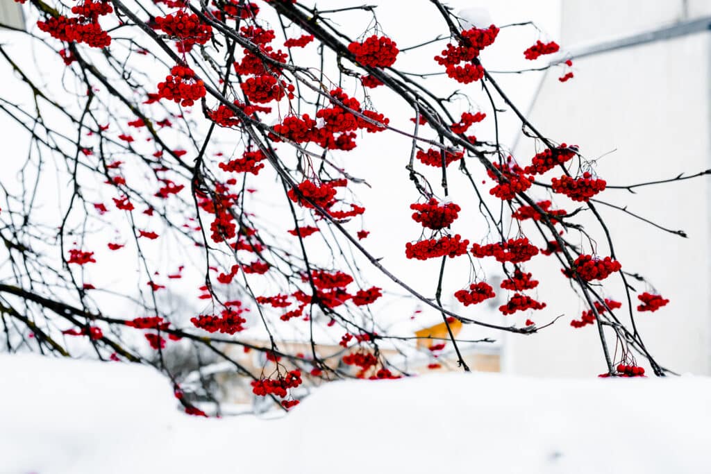 visittartu_tartucounty_ketlinlääts