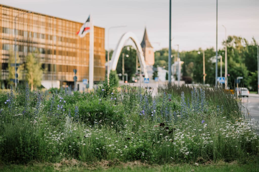 visittartu_manakaasik_linnaloodus