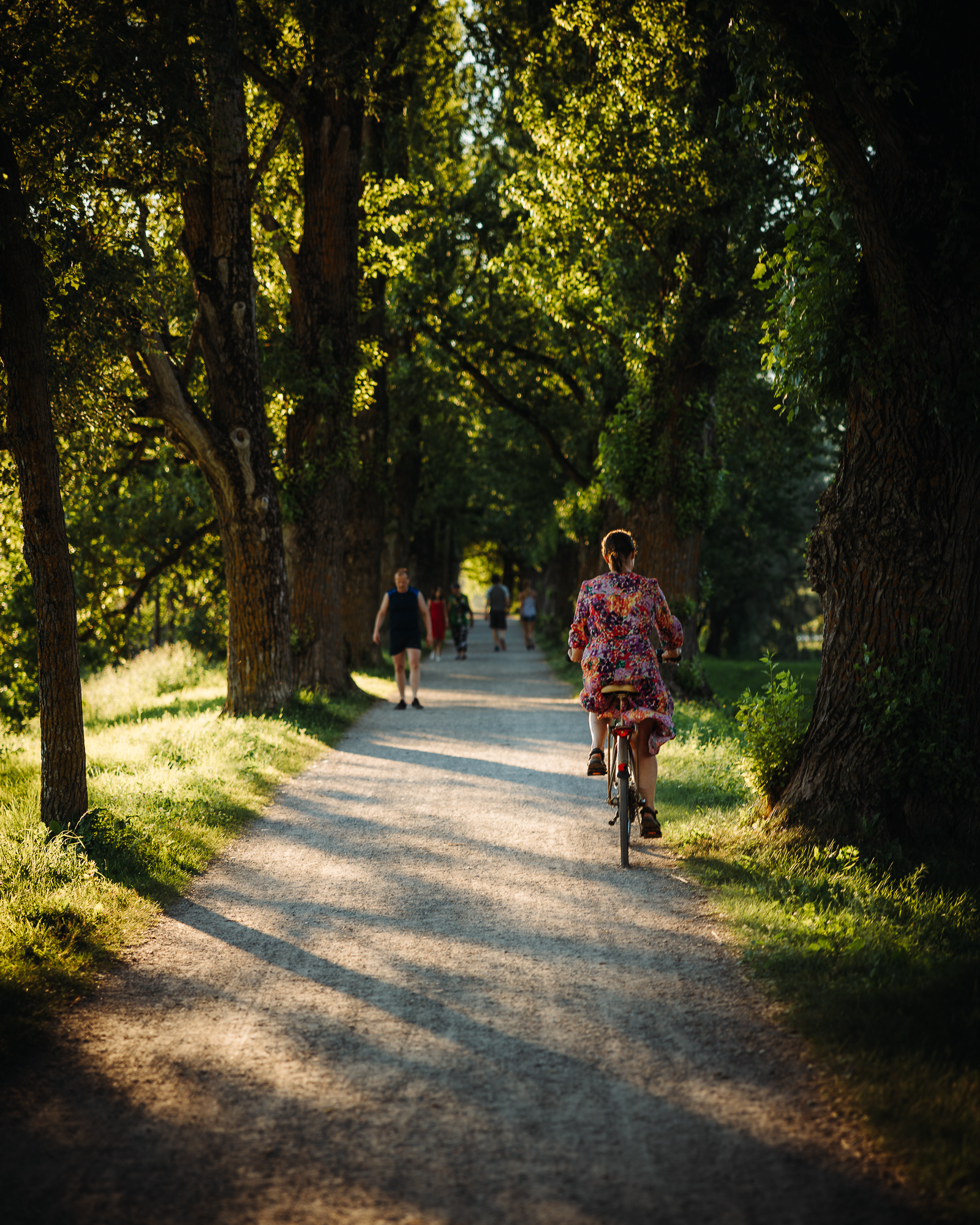 Visittartu_Tartu_cycling_ in_ the_park_Peeter_Paaver