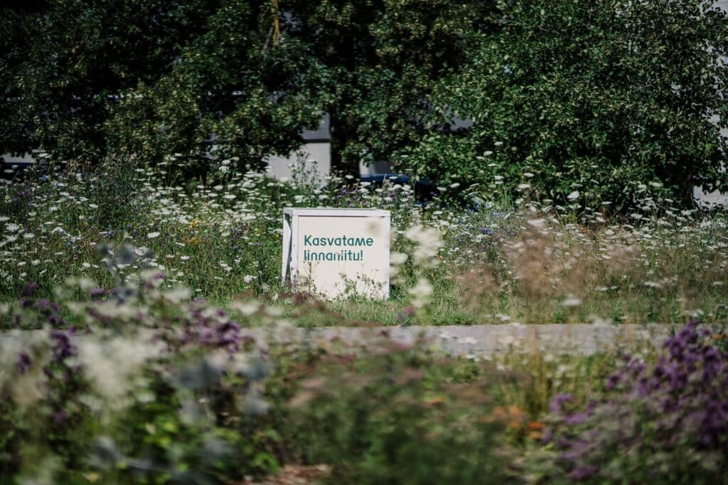 mana_kaasik_uueturu_elurikkus_visittartu