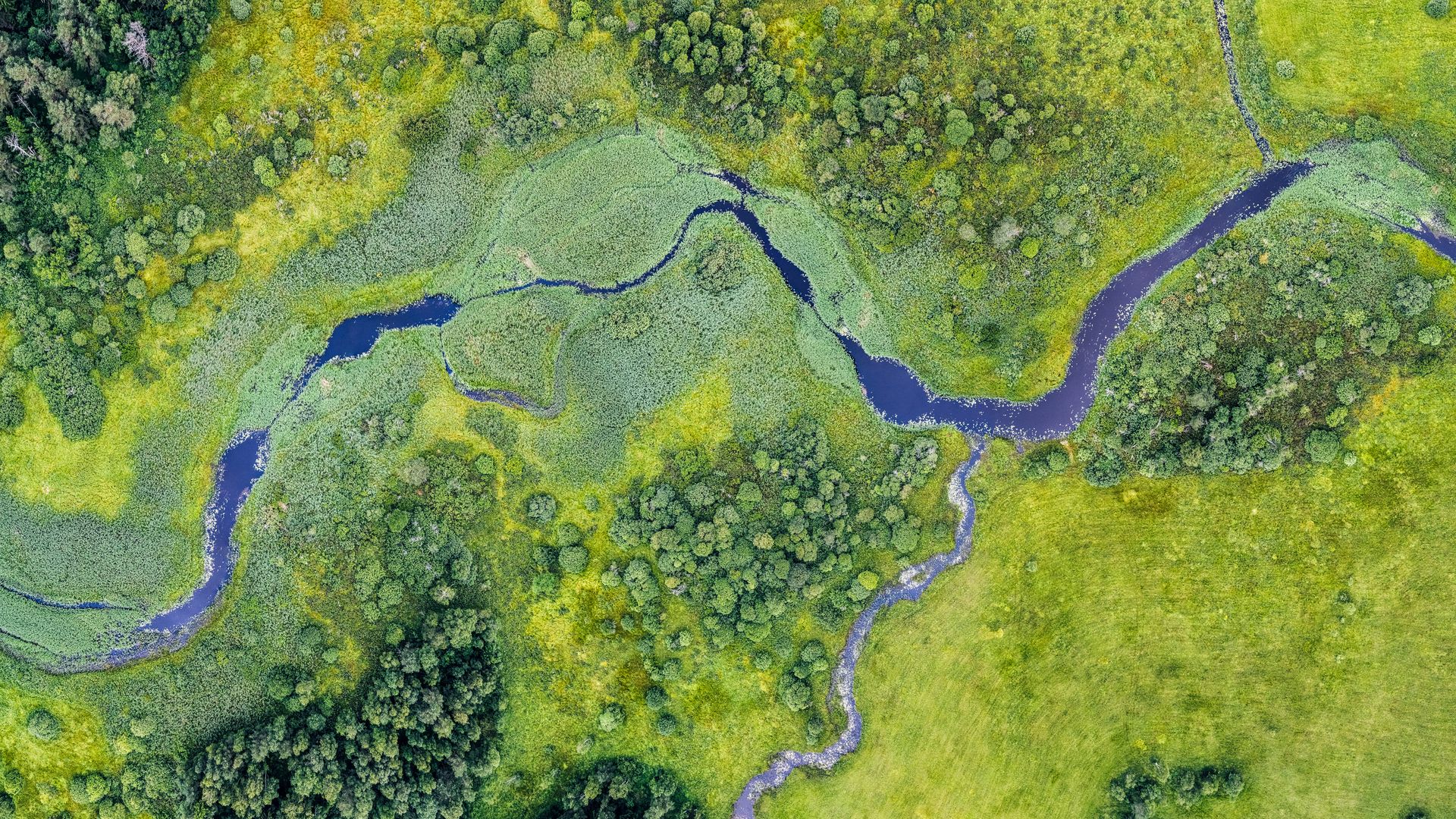 visittartu_visitestonia_greenkey_töötoad_kaupokalda_visitestonia