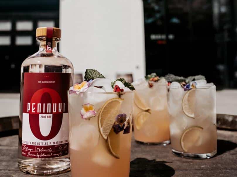 Peninuki-alkovaba-kokteil-visittartu-suvi