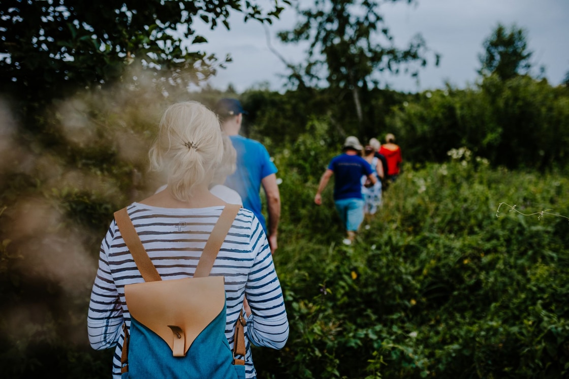 visittartu:tartu_lõuna_eesti_turismiklaster_arvamus_turismi_kohta