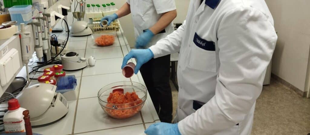 Tartumaa_toidupiirkond_tutvustab_toiduinnovatsiooni_kogemuslugusid