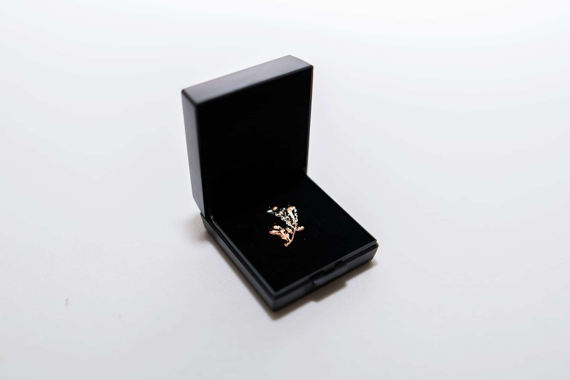 Mustas karbis esitletud Teenetemärk Tartumaa Kuldne Tammeoks – kuldne tammeoksa kujuline rinnamärk heledal taustal.