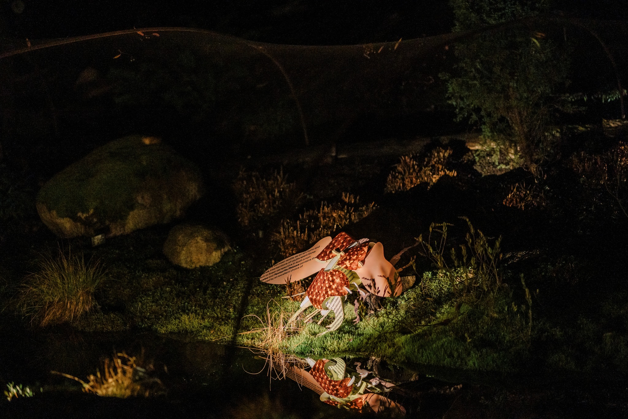 Valgusinstallatsioon Tartu botaanikaaias öisel ajal, esiplaanil kunstiline objekt taimede ja vees peegeldusega, ümbritsetud rohelusest ja kivistest elementidest