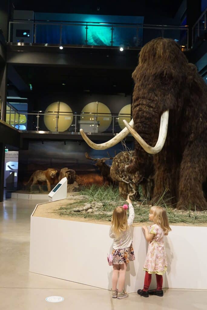 Jääaja Keskuse mammut