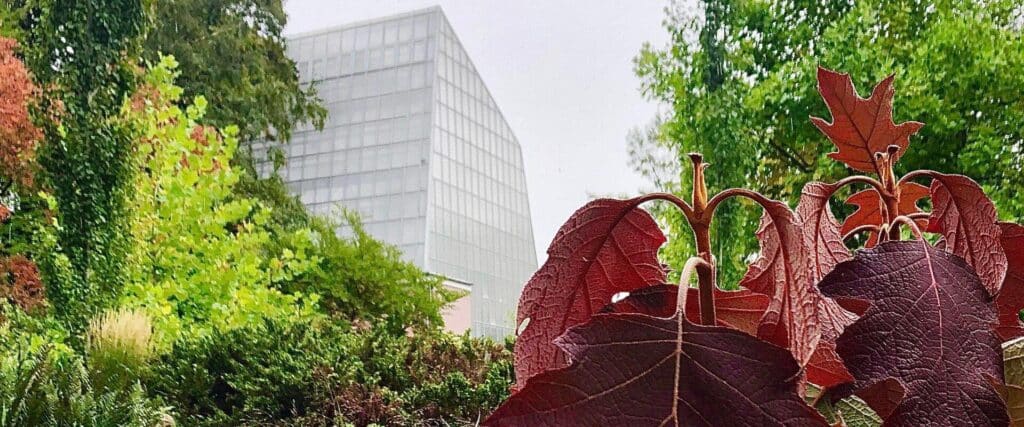 1.1.Botaanikaaed-Ruth-Pindus