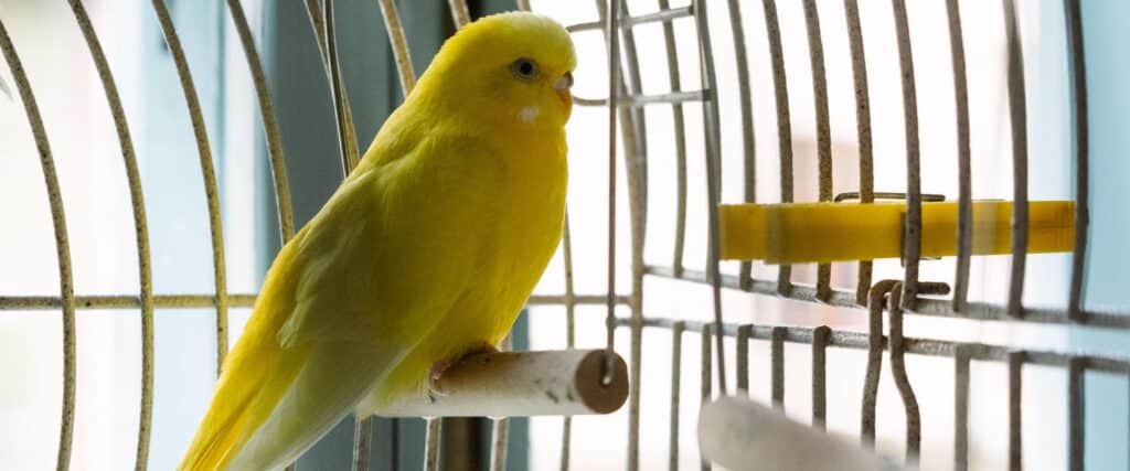 65_Tartu-Linnaajaloo-Muuseumid-autor-Mikko-Leo-Selg