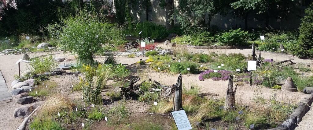 Eesti-loodulike-taimede-osakond_27JUN2018-min