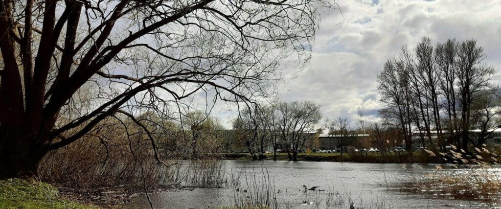 Emajoe-kallasrada-emajoe-walking-path-visit-tartu-visit-estonia-maigi-lokko-4-–-koopia