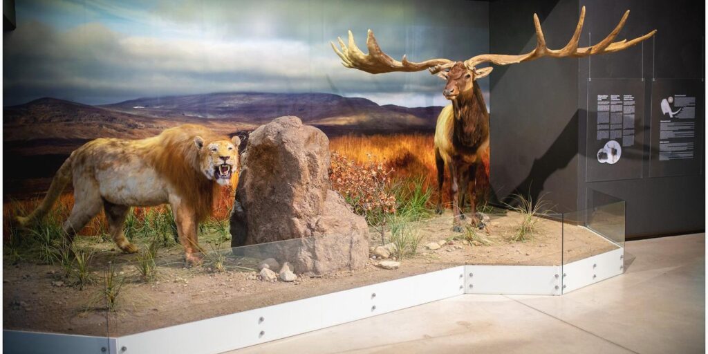 Ice-Age-Center-visitestonia-visittartu-museum-family-fun-3