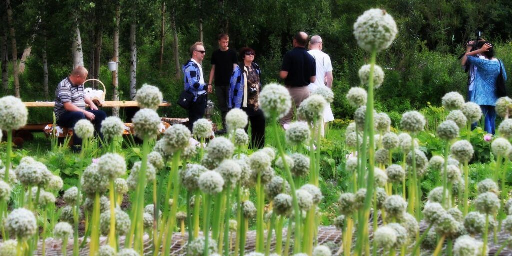 Kostja-Onion-Farm-vistestonia-visittartu-onion-route-4