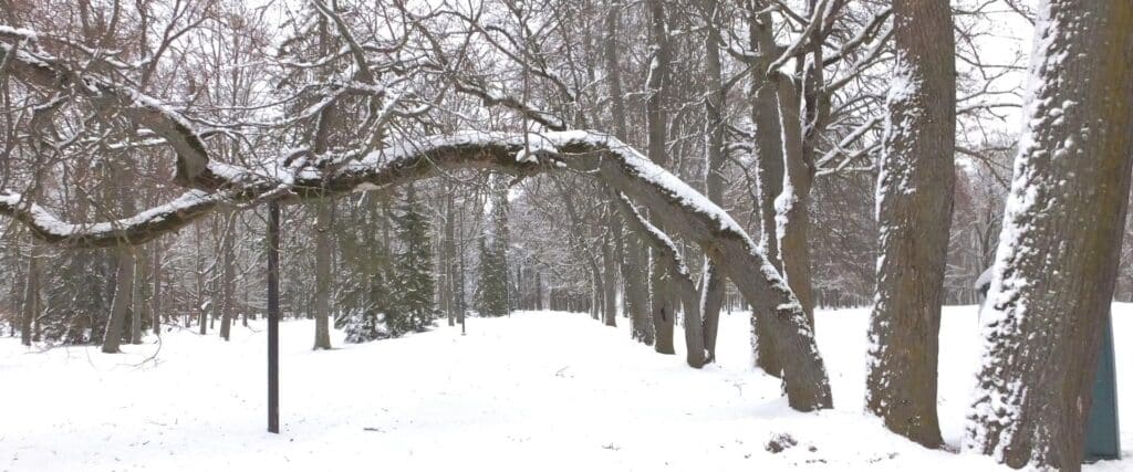 Luunja_manor_park_moisapark_visittartu_visitluunja