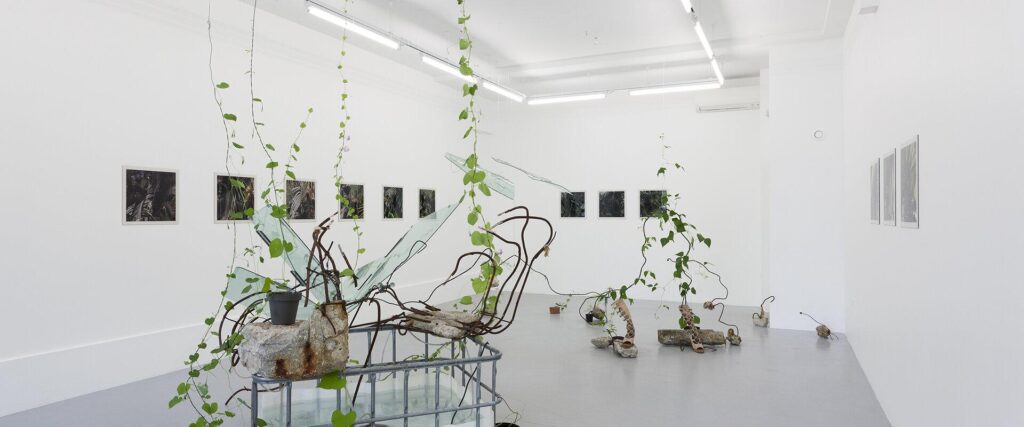 MG_4276_Kogo_galerii_2020_Kiipli-Kuimet_Husa-Crystal_Grid_photo_Paul_Kuimet-copy