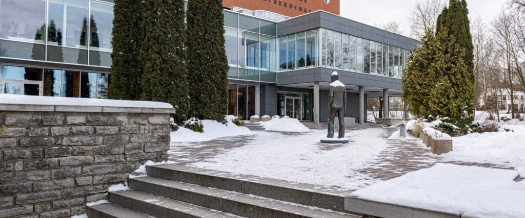 Sculpture-Karl-Menning-visittartu-visitestonia-winter-1