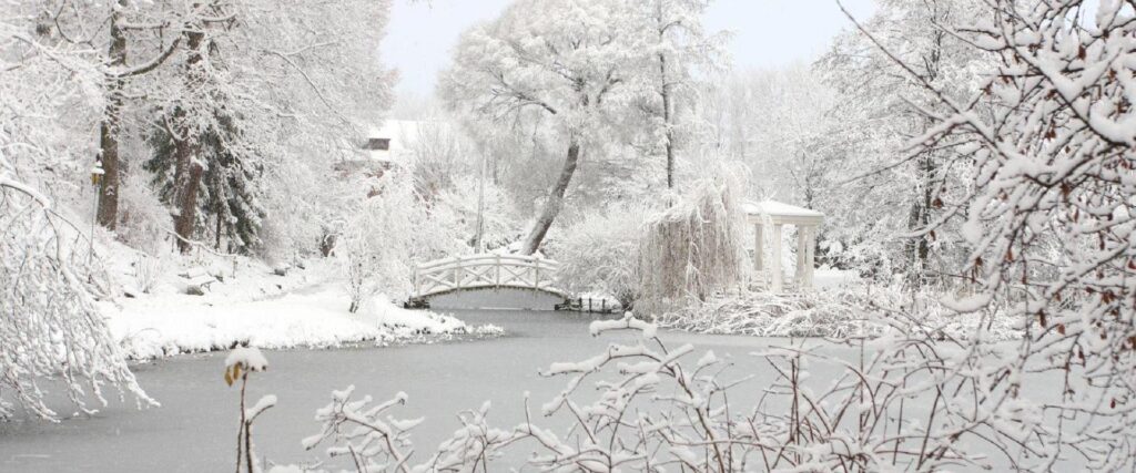 The beautiful University of Tartu Botanical Garden in winter