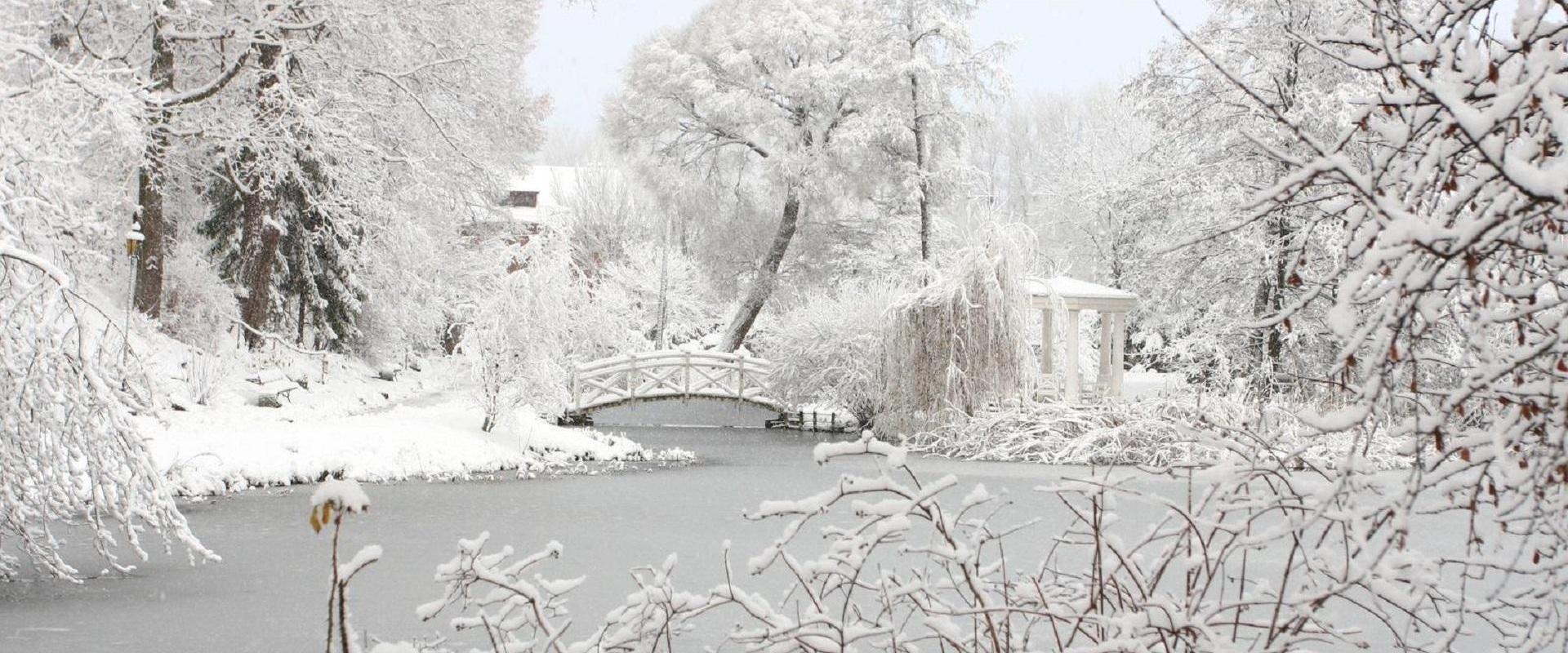 The beautiful University of Tartu Botanical Garden in winter