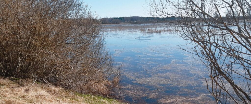 emajoe-kallasrada-visit-tartu-emajoe-path-trail-visit-estonia-1