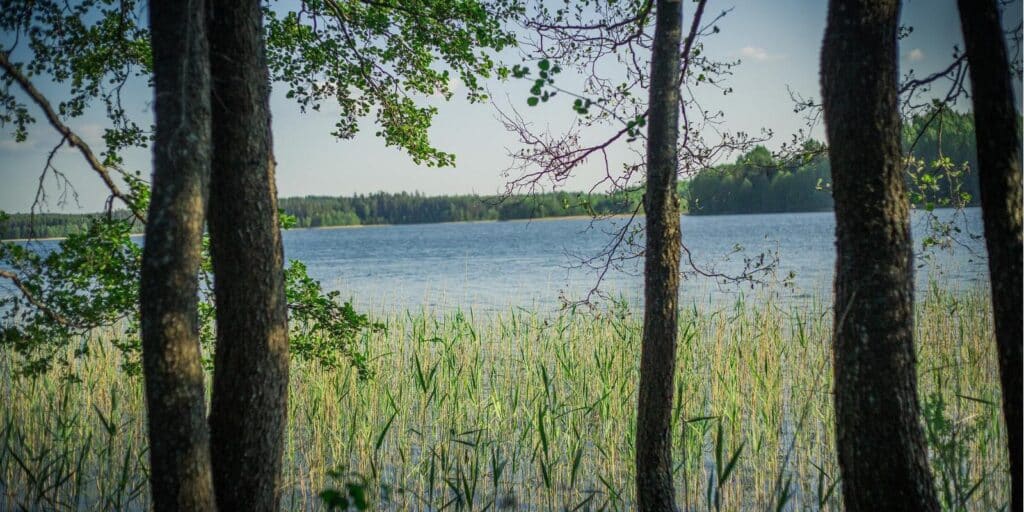 historical-Viking-ship-turm-boat-trips-emajogi-visit-tartu-visit-estonia-lake-peipus4-Copy