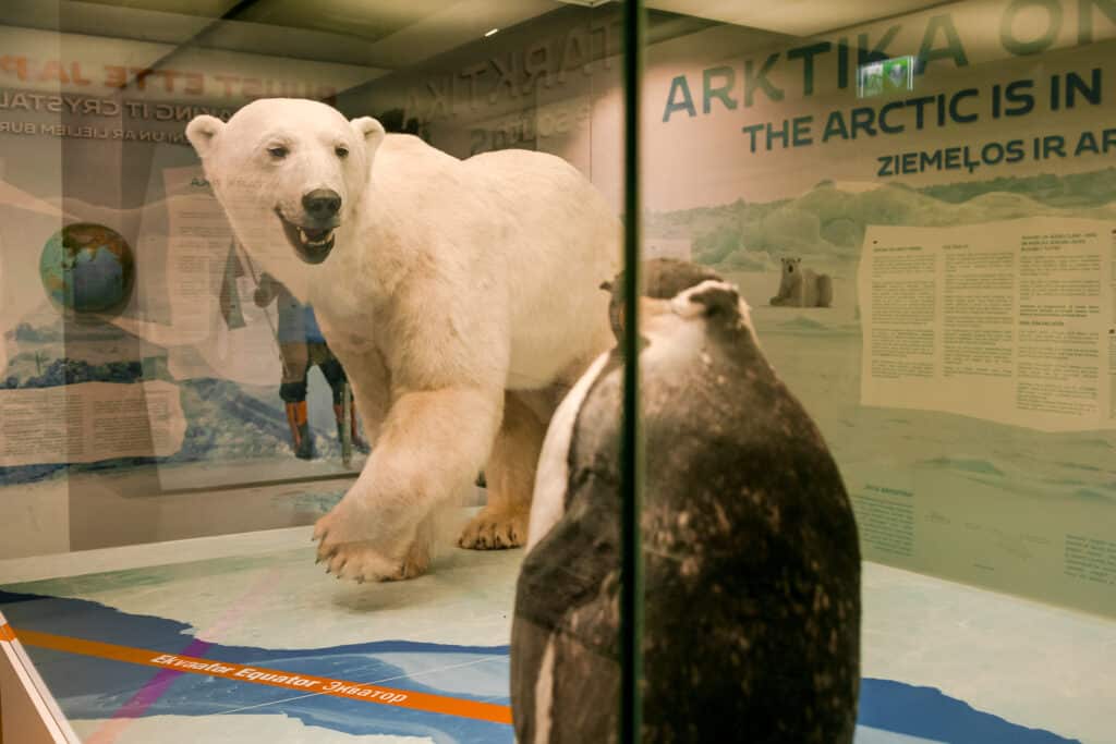 jaaaja-keskus-018-visit-estonia