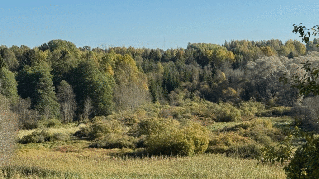 kavilda-urgorg-006-visit-estonia