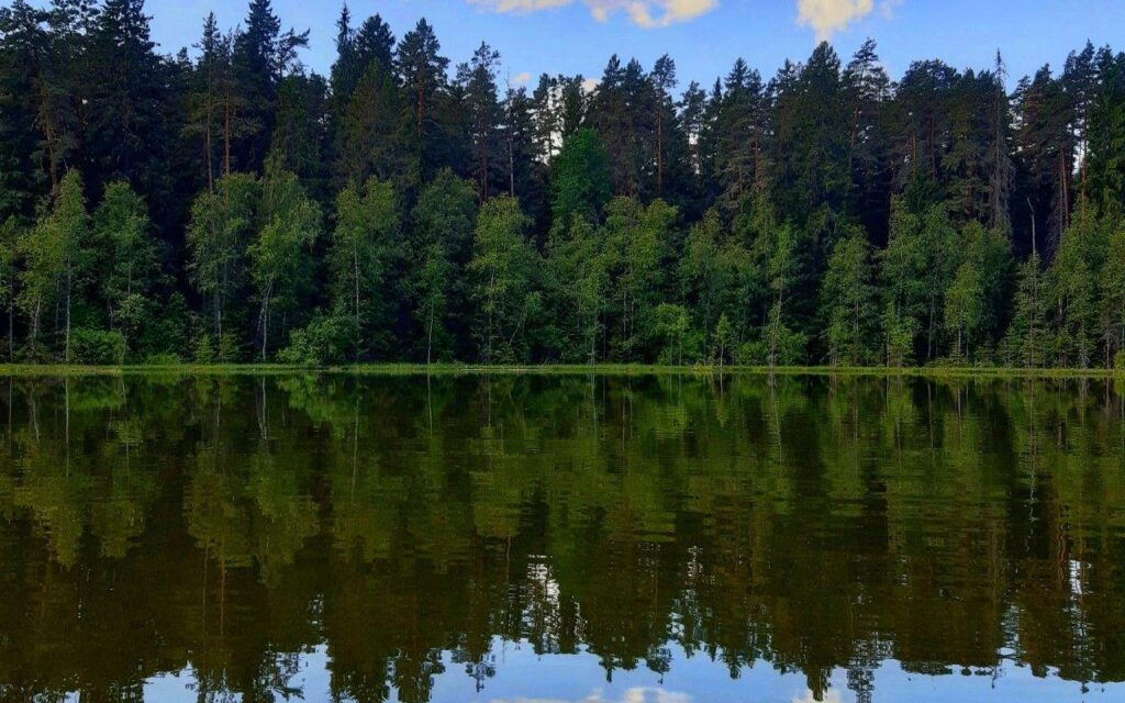 lake-vaikne-visit-elva-visit-tartu-visit-estonia-nature-1