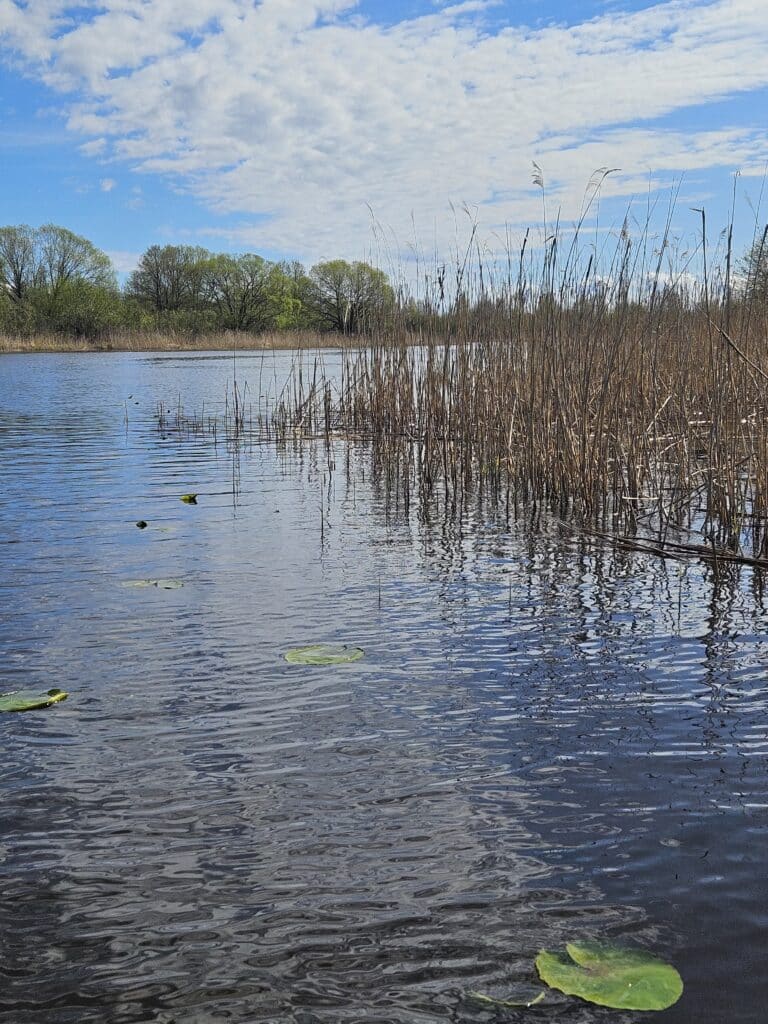 matkaparvede-rent-emajoel-017-visit-estonia