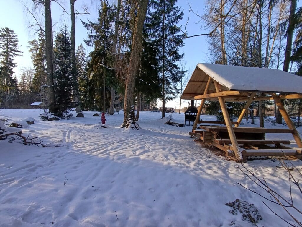 pangodi-jarv-ja-jarveaarne-telkimisala-007-visit-estonia