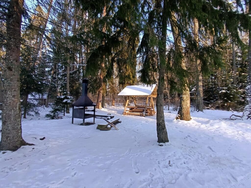 pangodi-jarv-ja-jarveaarne-telkimisala-011-visit-estonia