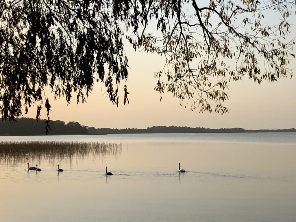 saadjarv-006-visit-estonia