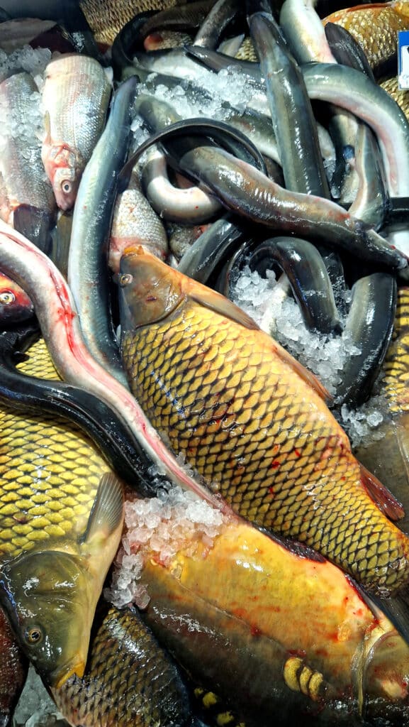 tartu-turuhoone-009-visit-estonia