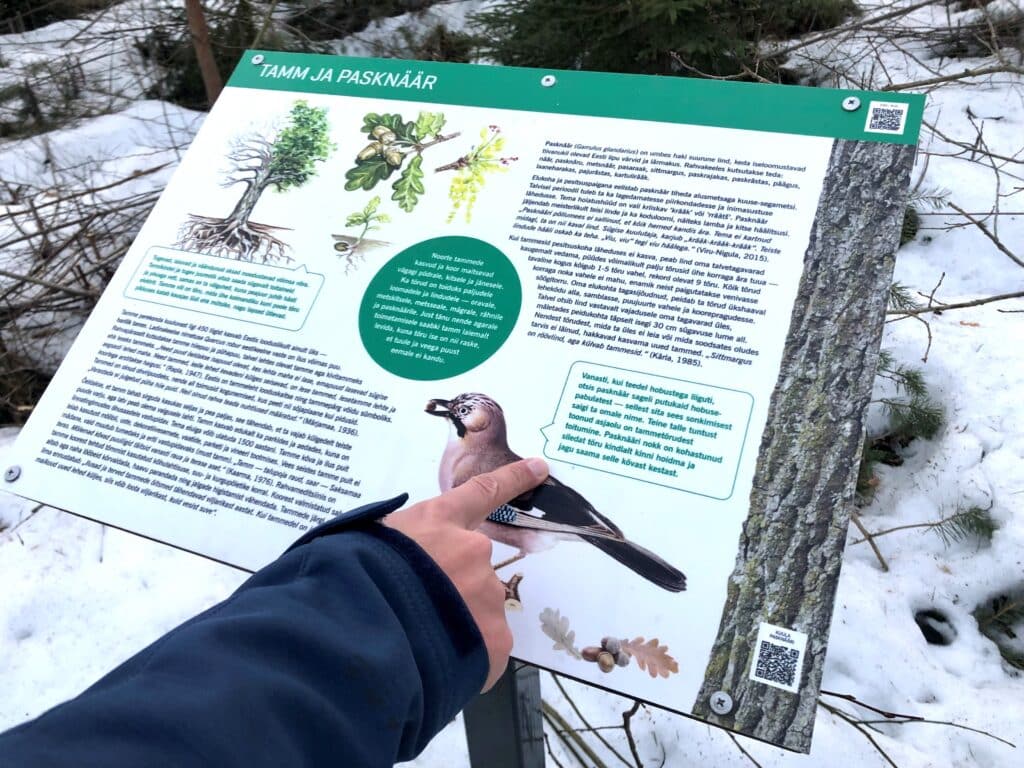 tiksoja-matkarajad-ja-lokkekohad-020-visit-estonia