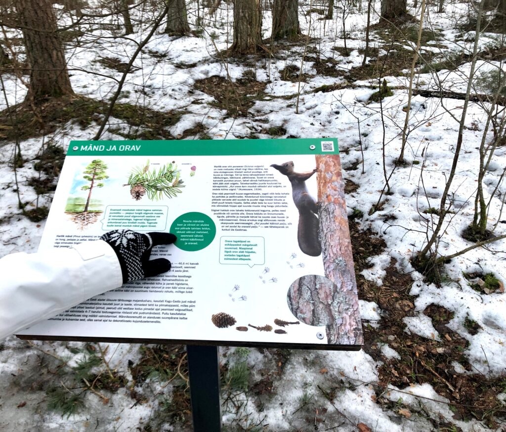 tiksoja-matkarajad-ja-lokkekohad-021-visit-estonia