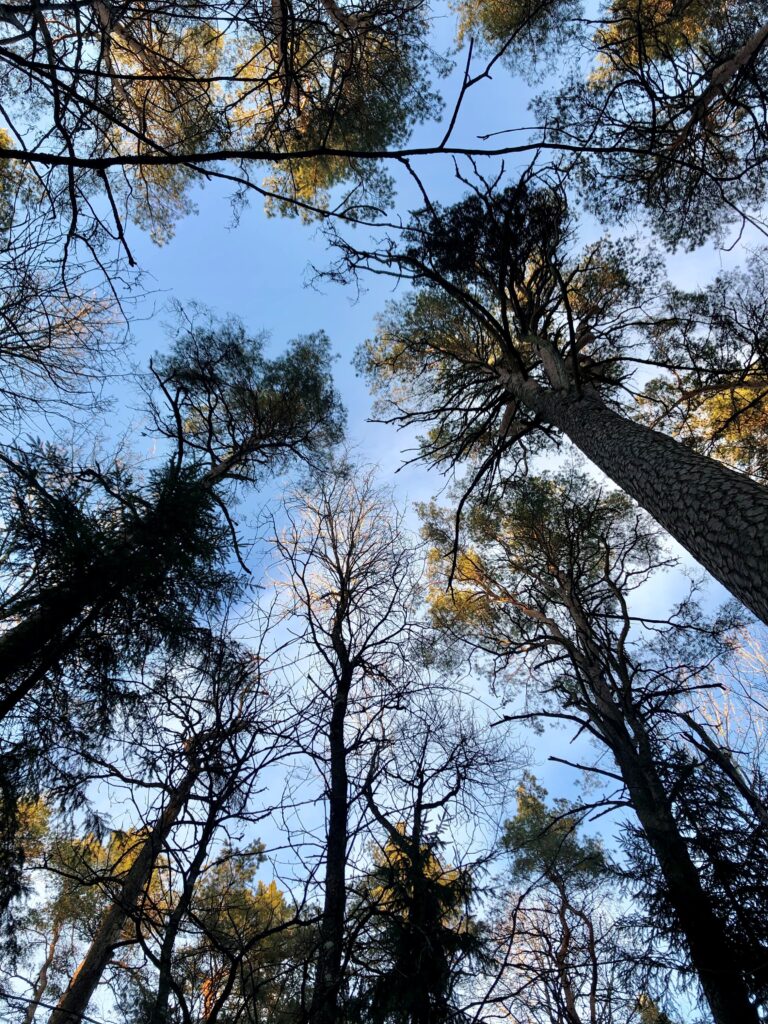 tiksoja-matkarajad-ja-lokkekohad-024-visit-estonia