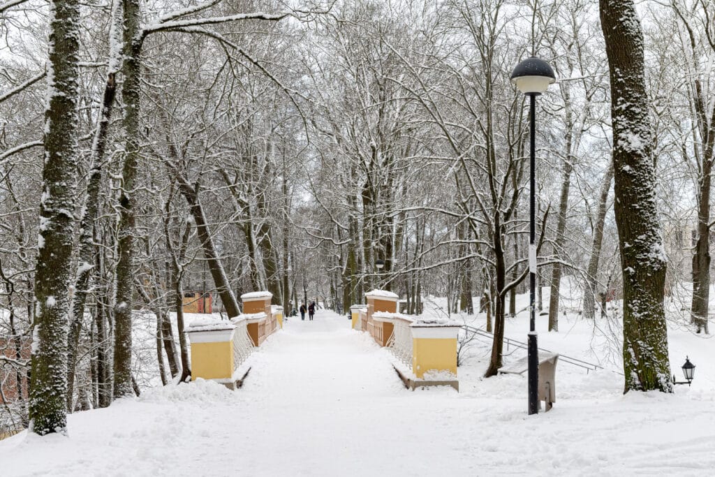 Romantic Toomemäe Park in winter