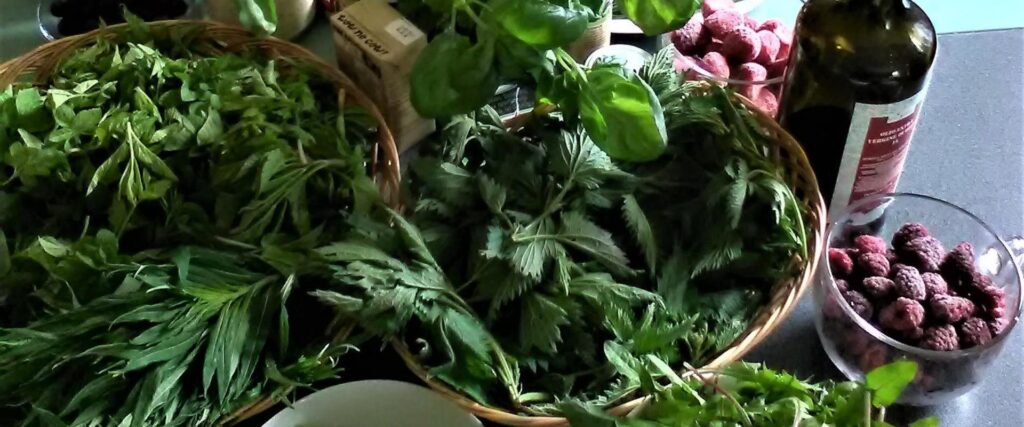 Triin Muiste: weeds for food workshop