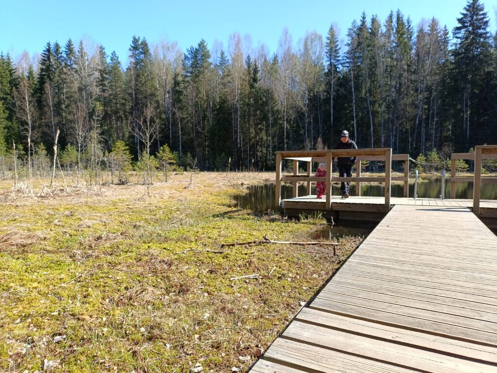 viti-jarve-matkarada-ja-vaatetorn-005-visit-estonia