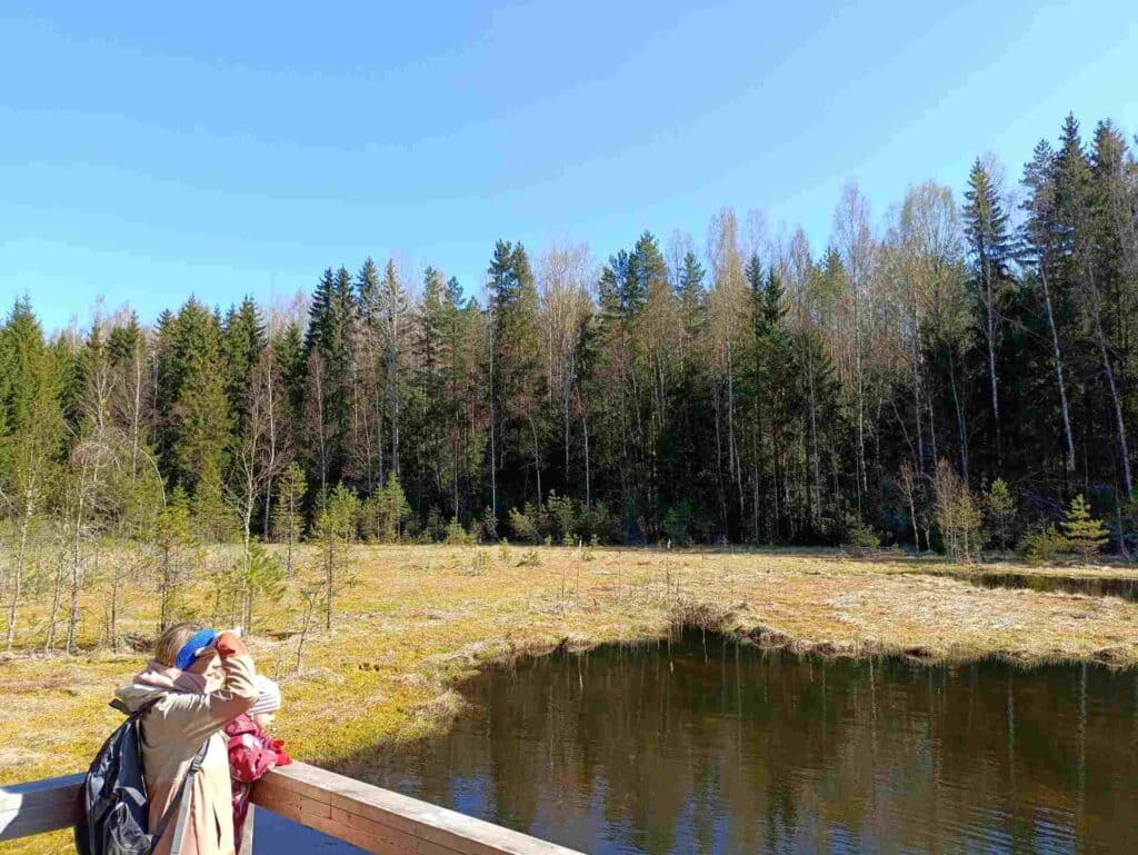 viti-jarve-matkarada-ja-vaatetorn-014-visit-estonia