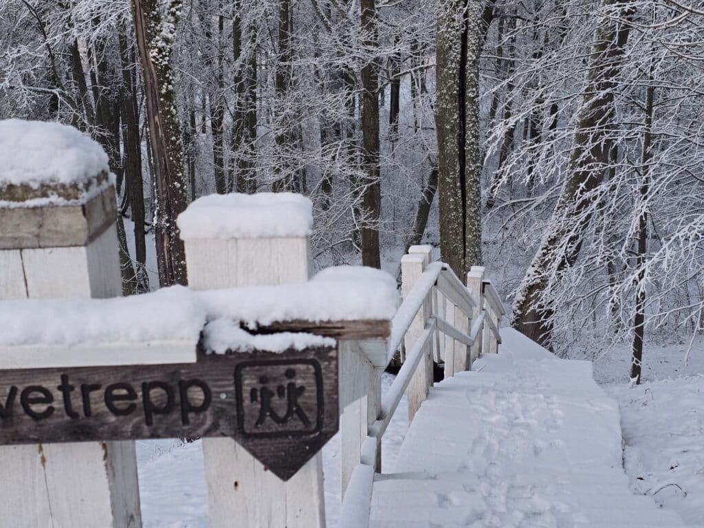 alatskivi-matkarada-011-visit-estonia