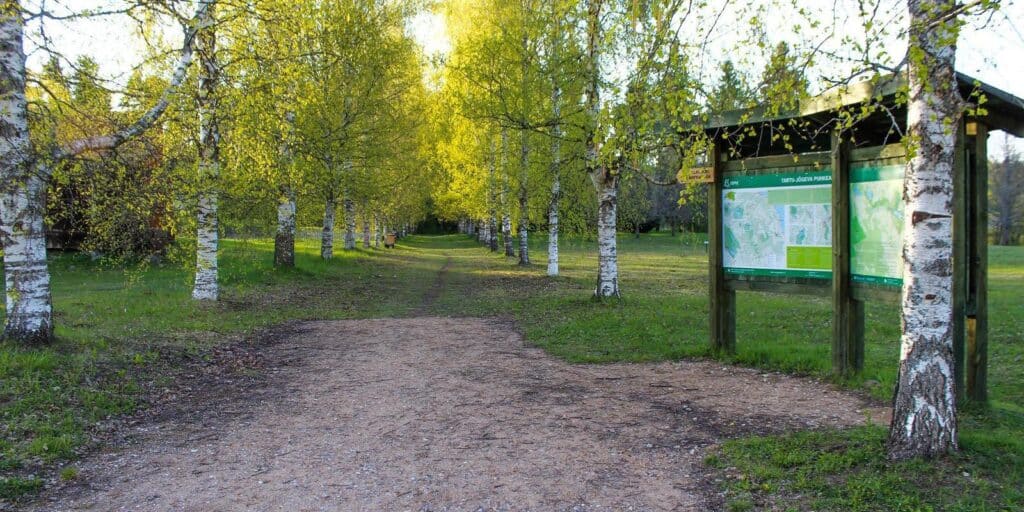 peeter-kiuru-visitestonia-alatskivi