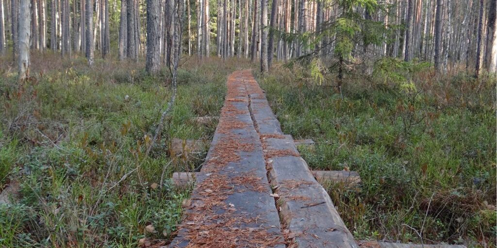 Boardwalk-visittartu-visitestonia