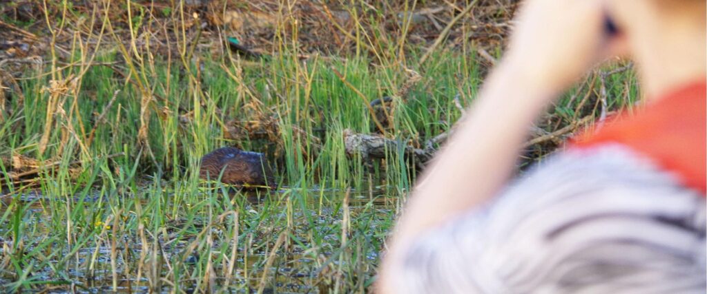 02_kopramatk_joematkad-ee