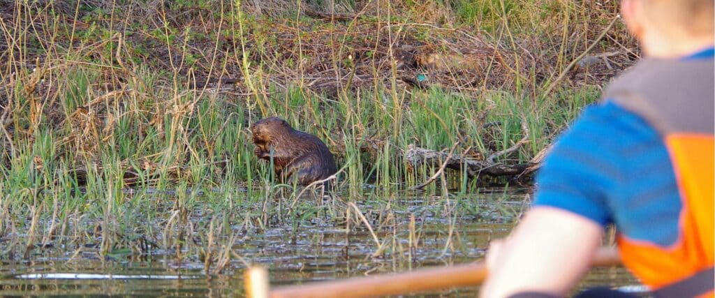 03_kopramatk_joematkad-ee