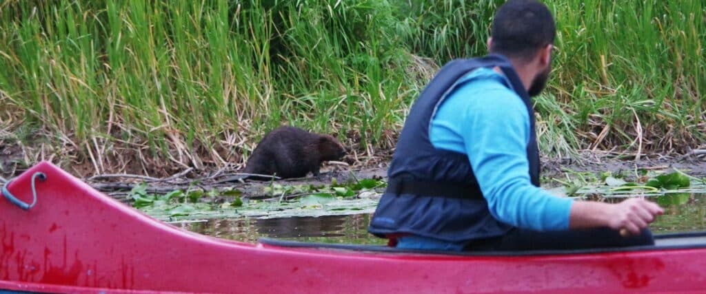 11_kopramatk_joematkad-ee