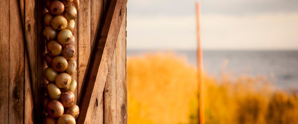 Day trip on the Onion Route