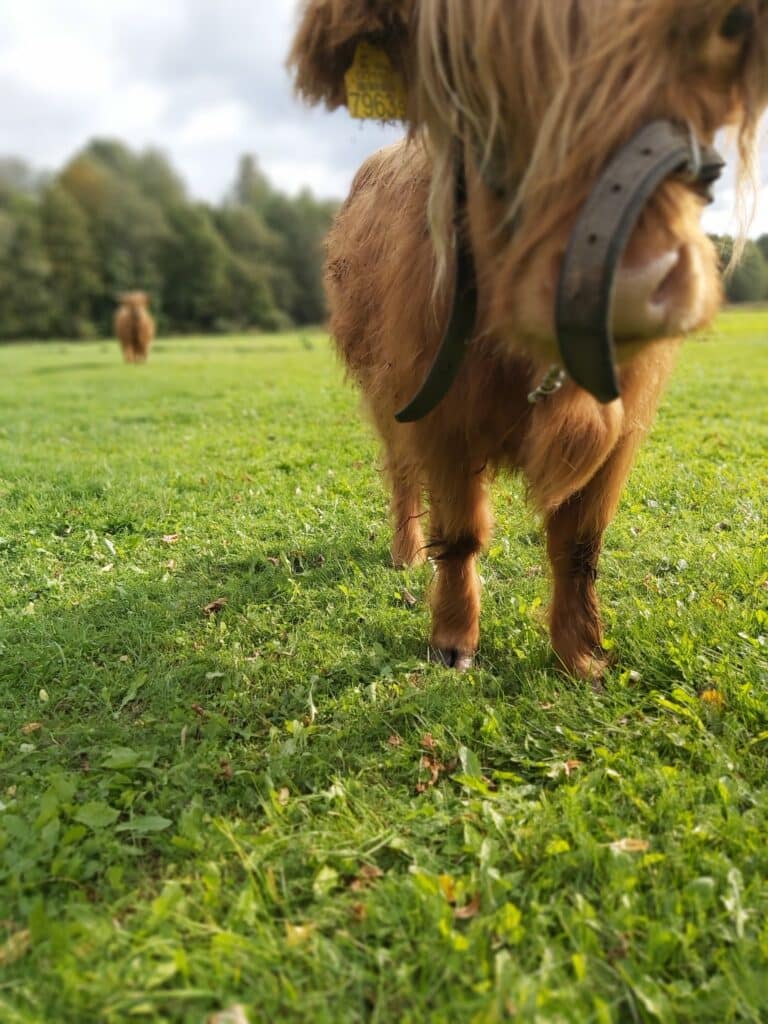 270827949_10227258998049031_8848060316626878800_n