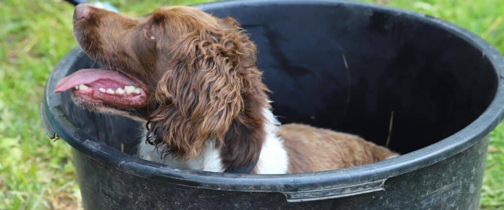 294706058_813661052957976_8792924690340061483_n