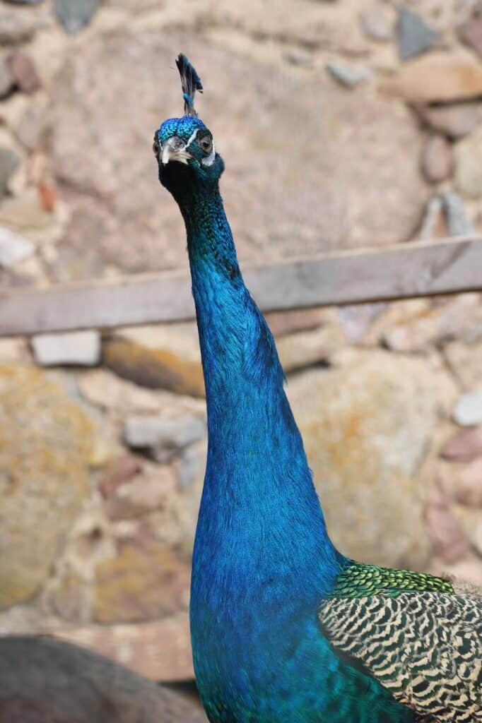 295397420_598597011783063_6849550869689605246_n