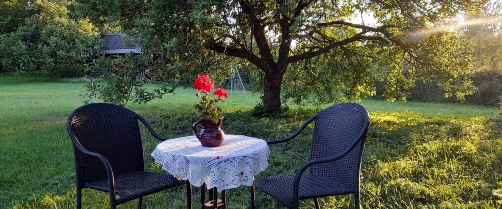 362724536_594885405890338_767354553192522134_n